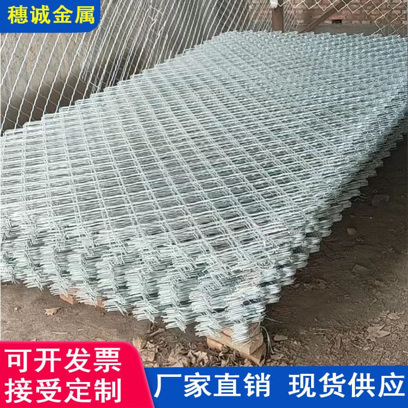 Direct Factory Expanded Metal Mesh, Bonded Zone Service Area Port Fence Protection Net, Anti-Theft Special Isolation Net, Dog Cage Net