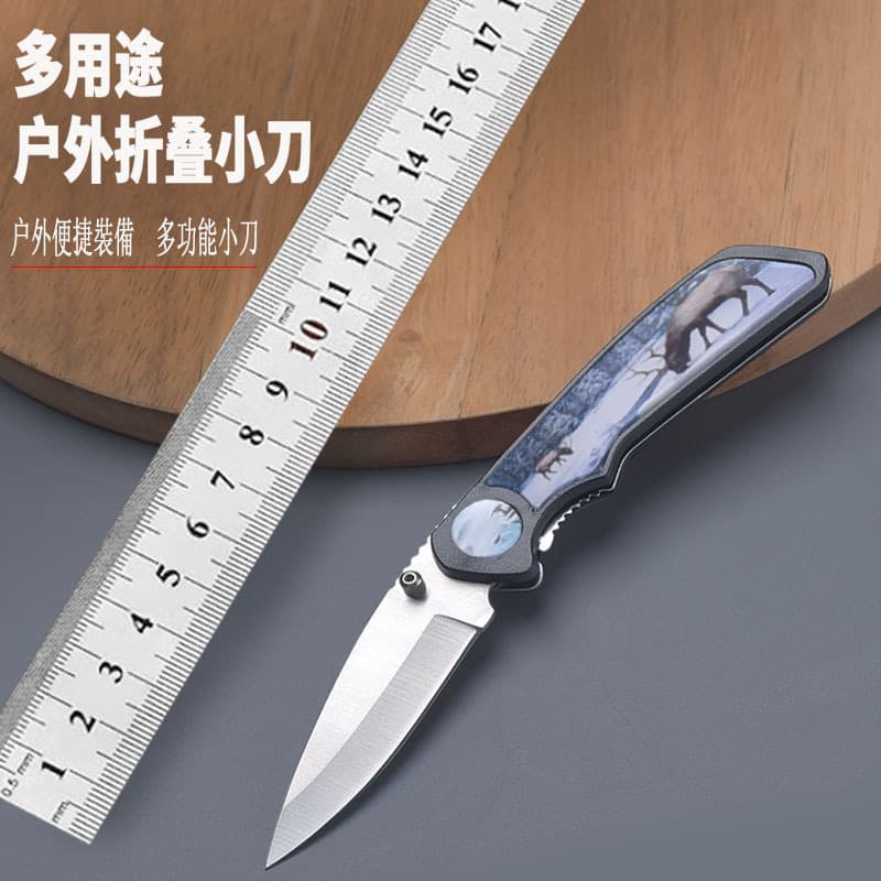 Outdoor Camping Folding Knife Multi-Function Small Knife Fruit Knife Mini Tool Folding Knife Travel Portable Pocket Knife