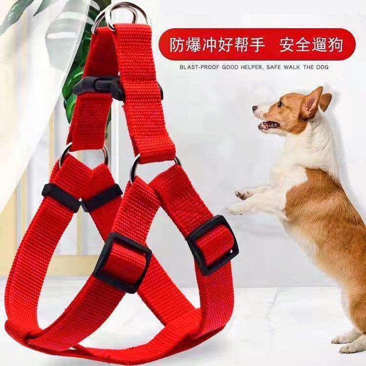Dog Walking Harness Vest with Reflective Leash for Golden Retriever, Teddy, Small Medium Large Dogs Pet Supplies