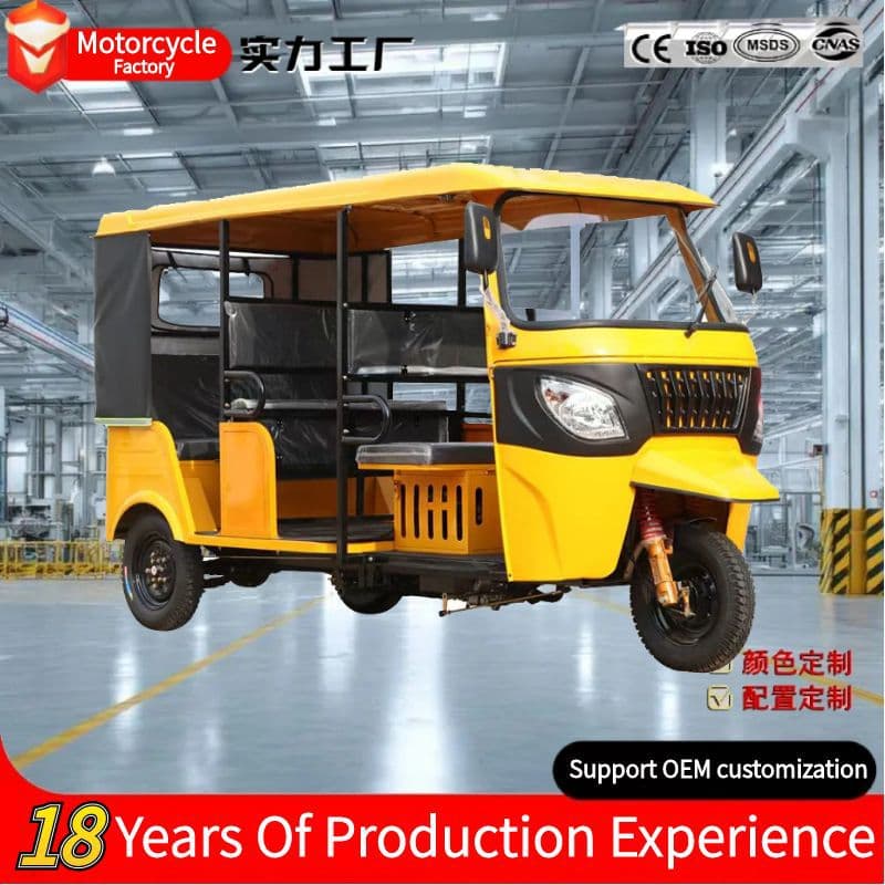 Tuk Tuk TVS Fuel Motorcycle Factory Cross-border Double Row Triple Row Multi-passenger Custom