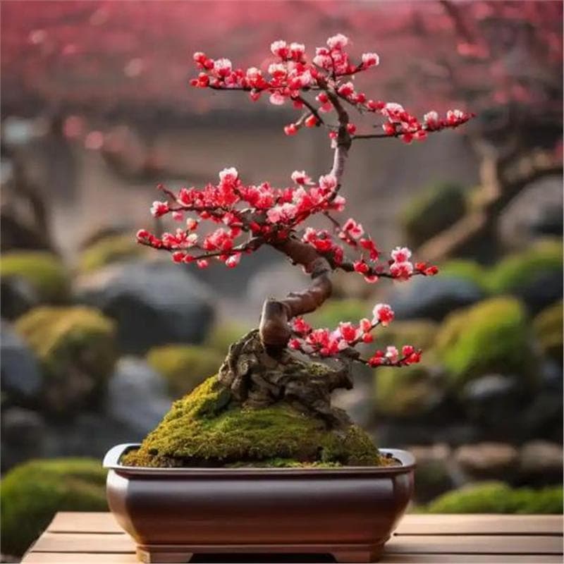 [Cross-Border E-Commerce Supply] Green Plant Seeds, Bonsai Flower Seeds, Money Tree Seeds, Formaldehyde-Absorbing Pothos Seeds