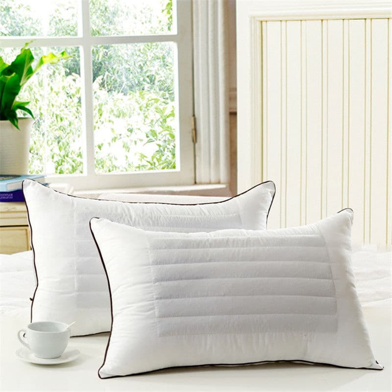 New Buckwheat Dual-Use Pillows