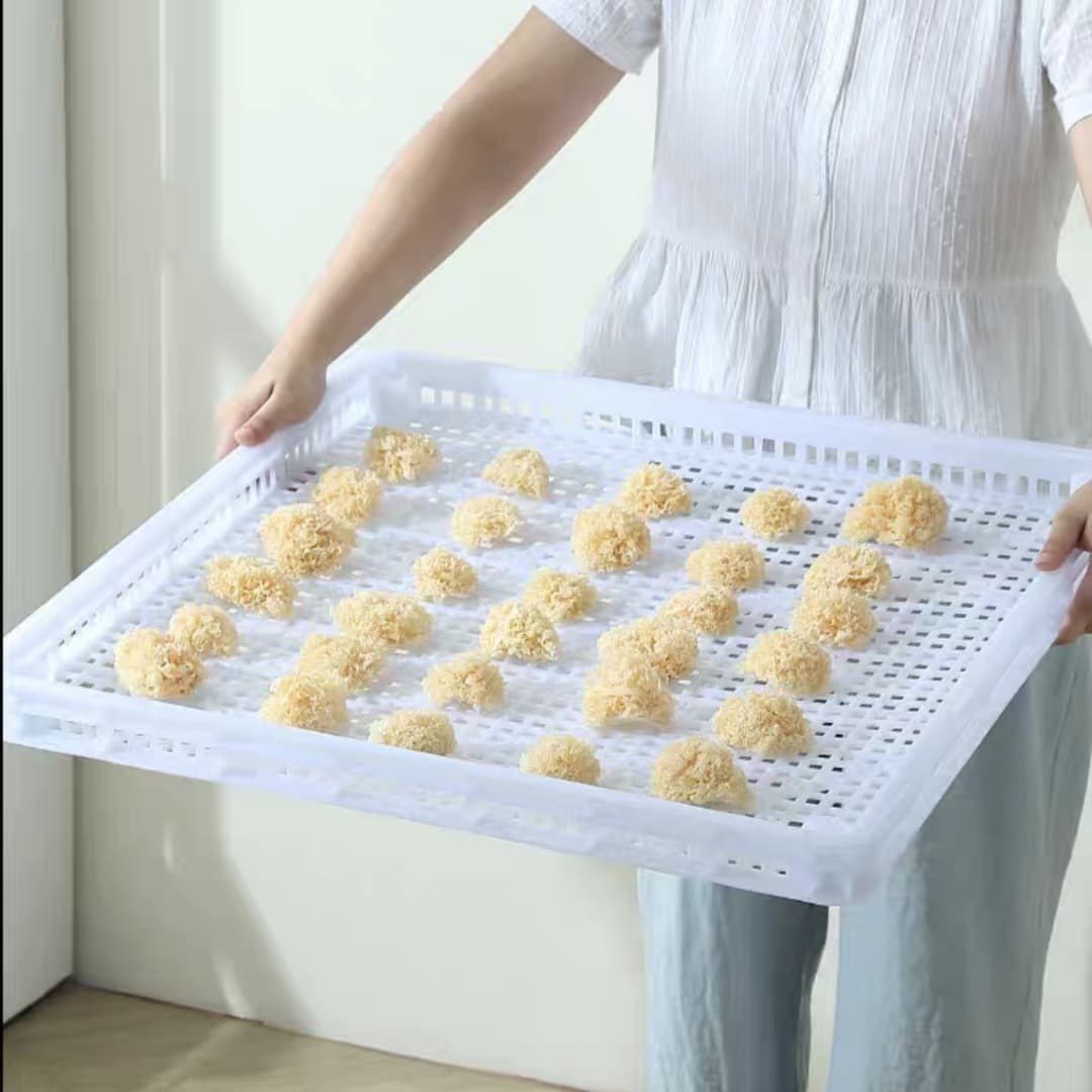 Square Dried Fruit Plastic Dustpan Drying Balcony Drying Basket Food Dried Goods Household Fructose Chinese Medicinal Herbs Seafood Tray
