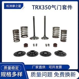 TRX350 Motorcycle Intake and Exhaust Valves for Honda Rancher 350 TRX350TE ES Lock Ring