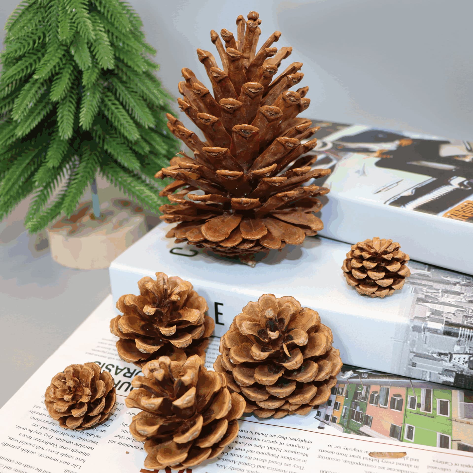 1-15CM Pinecone Christmas Ornaments Creative Display Props Dried Flower Pine Cones Handmade DIY Materials