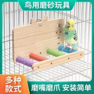 Parrot Mirror Perch with Food Cup, Bird Toy for Budgie, Lovebird - Chewing Sanded Perch, Cockatiel Feeder, Food Bowl Supplies