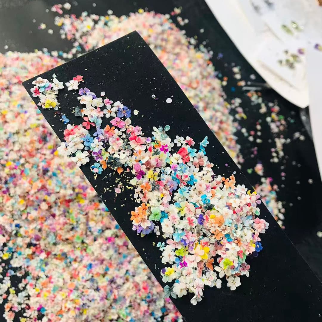 Nail art dried flowers mixed color ins style natural real flowers small flowers embossed wearable nail material package dried flower material wholesale
