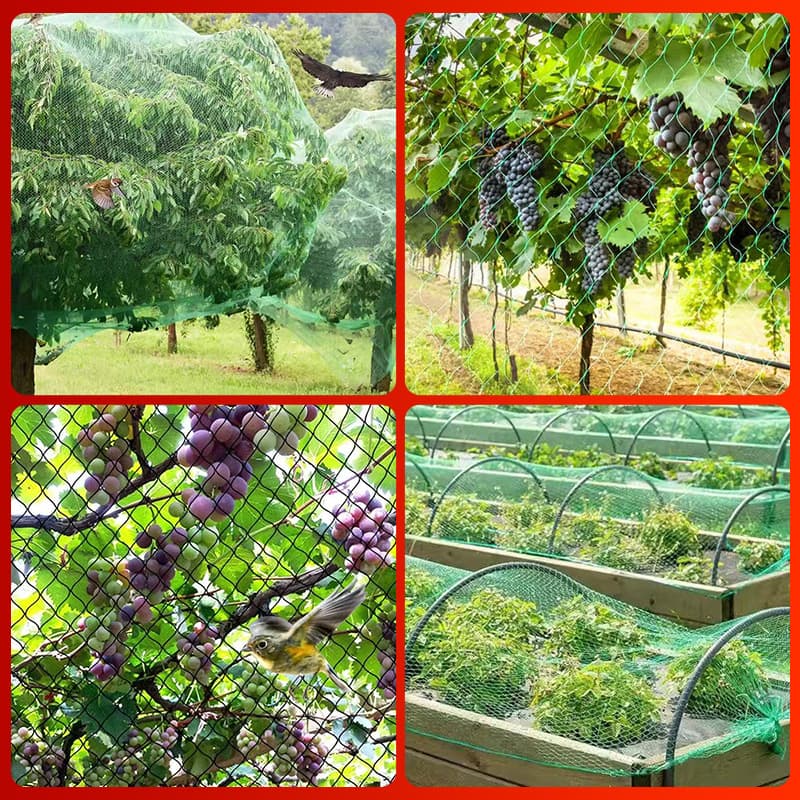 Bird Net - Anti-Bird Netting for Fruit Trees, Grape Trellises, Fish Pond Covers, Vegetable Gardens, and Orchards