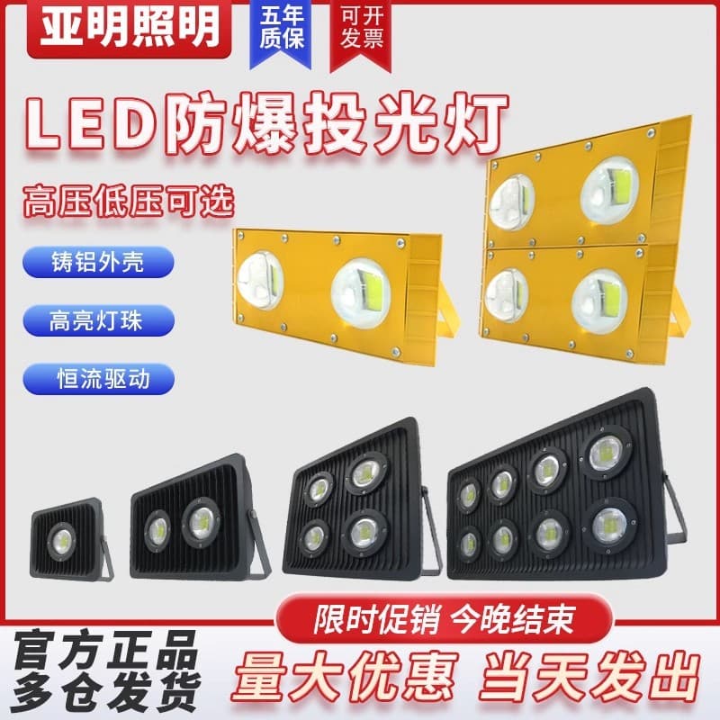 Yaming Low Voltage Explosion-Proof Light Warehouse Outdoor LED Tunnel Light Refueling Industrial Station Marine 12/24V36V Floodlight