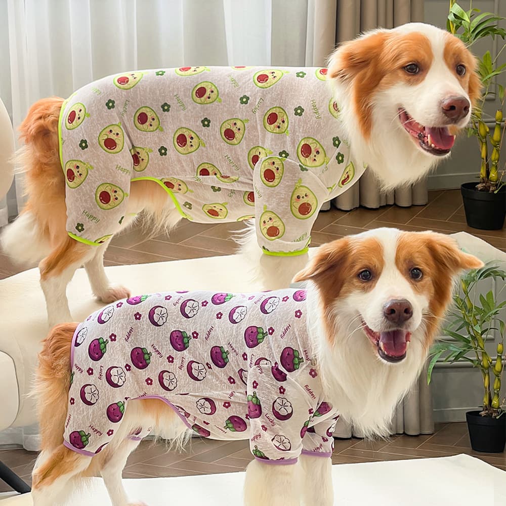 New pet spring and summer cat clothes, dog four-leg clothes, cat four-leg pants, wholesale breathable home wear products