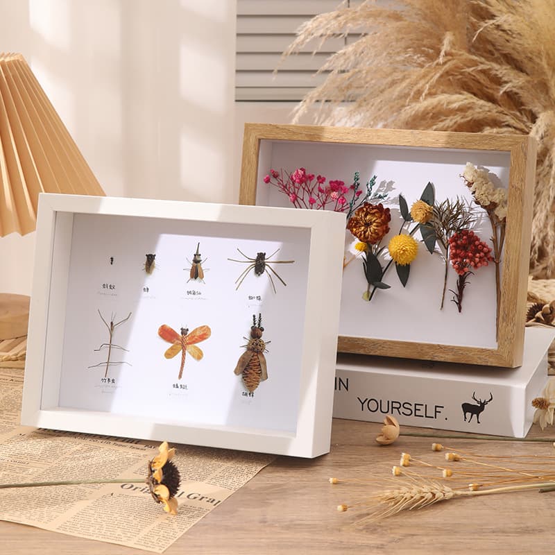 3D Hollow Dried Flower Frame 3cm Shell Insect Plant Specimen Frame DIY Preserved Flower Frame A4 Picture Frame Tabletop Display