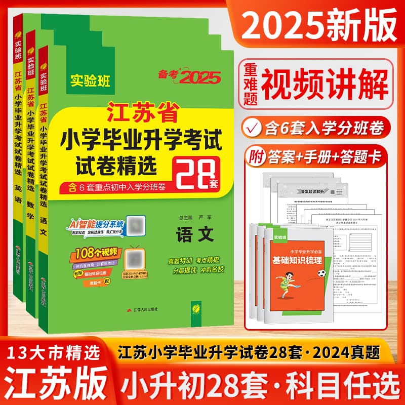 2025 New Edition Jiangsu Province Primary School Graduation Entrance Exam Paper Selected 28 Sets of Experimental Class Junior High School Entrance Exam Paper