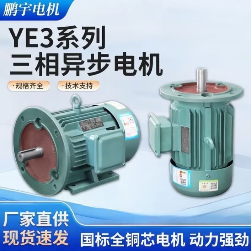 Vertical and Horizontal Three-Phase Asynchronous Motor YE3 Series AC Induction Motor Industrial High-Power Electric Motor