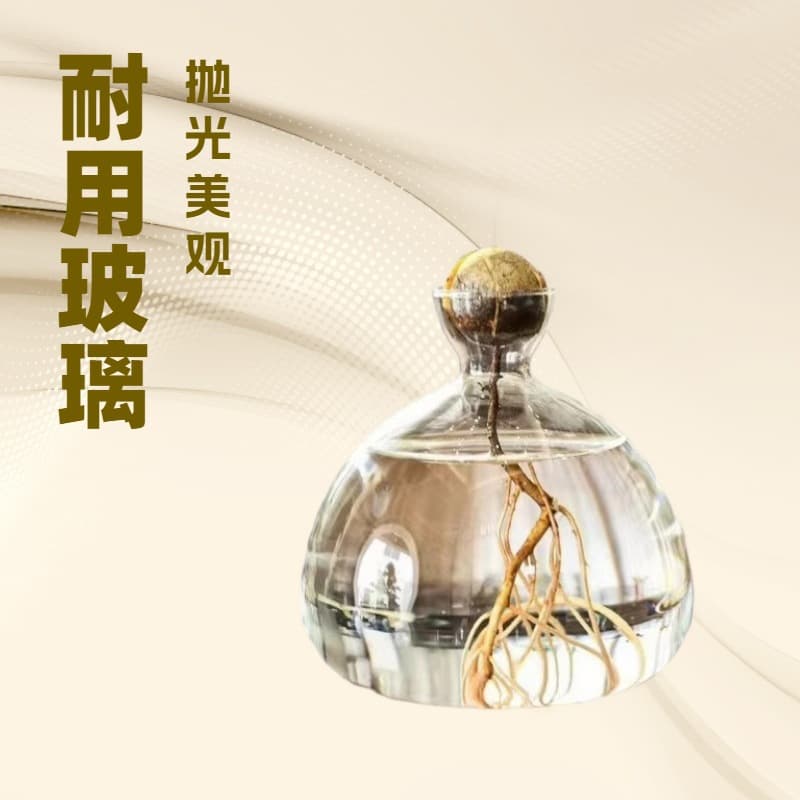 Japanese Avocado Hydroponic Glass Vase, Seed Planting Vessel, Pit Hydroponic Container, Transparent Vase