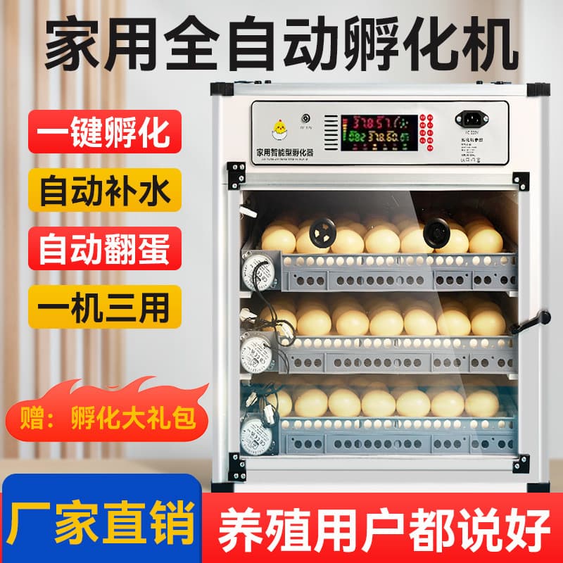 Shanghai's newly upgraded home-use incubator, a smart, fully automatic incubator for chickens, ducks, and geese, is a small-scale incubator.