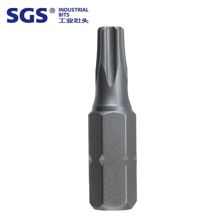 SGS 6.35mm Short S2 Industrial Bits Screwdriver Set 10pc Single-ended Torx Hole Screw Impact Bits