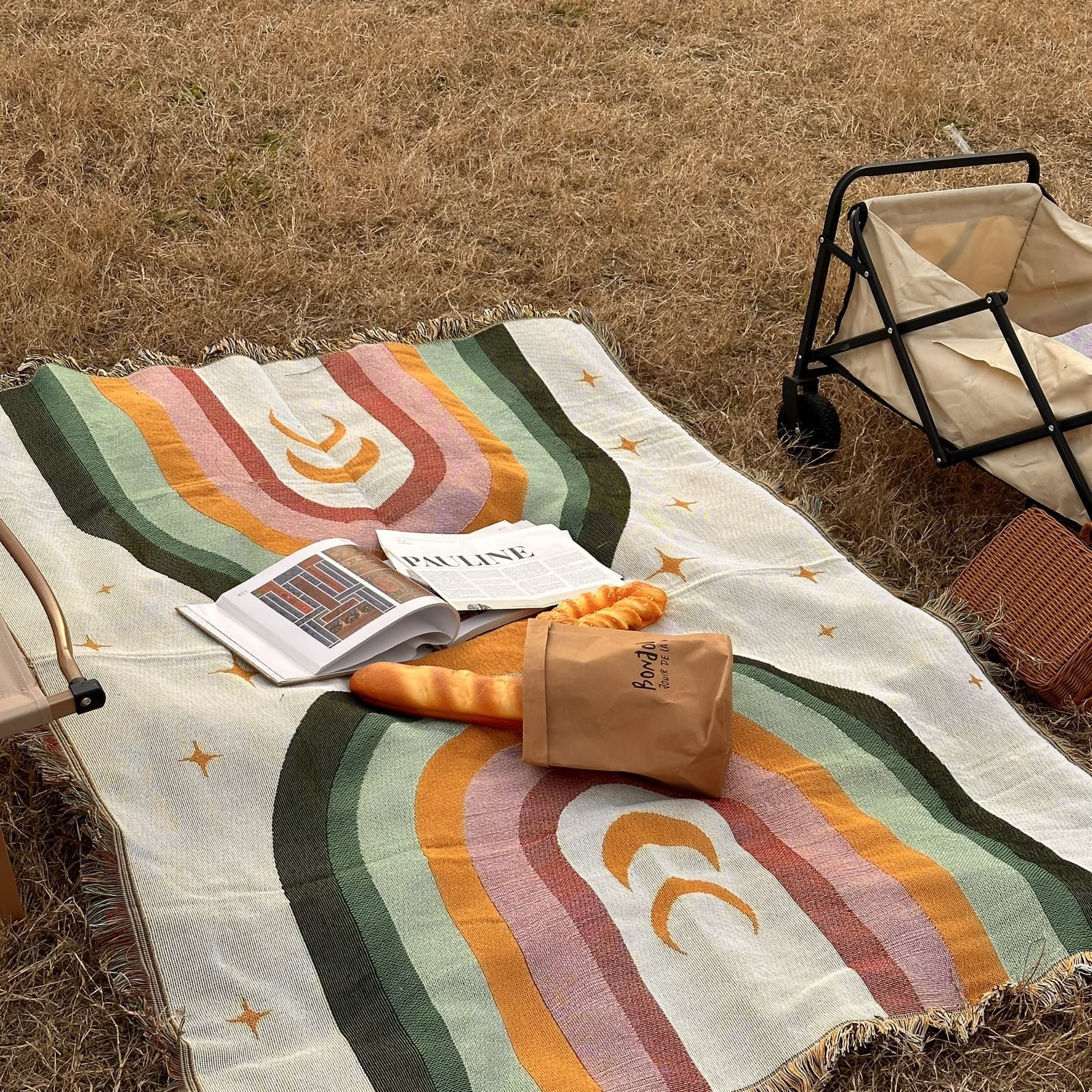 Cross-border wholesale thickened blankets, American-style e-commerce tapestries, custom designs available, trimmable for picnics, camping, and beach use.