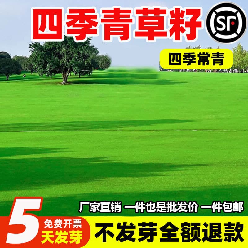 Four Seasons Green Lawn Seed, No-Mow Grass Seed for Slope Stabilization, Mixed Evergreen, Cold and Drought Tolerant Grass Seed