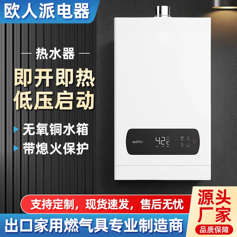 Wholesale Export Natural Gas Water Heater, Household Gas/LPG Forced Exhaust Balanced Inverter Thermostatic