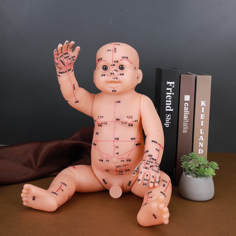 Massage Baby Human Body Model, Children's Home Care, Postpartum Care, Acupoints, Pediatric Traditional Chinese Medicine Nursing Training, Maternal and Infant Massage, Meridians