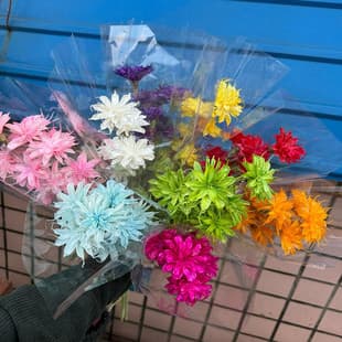 Handmade Epiphyllum Dried Flowers Cross-Border Direct Supply Preserved Flowers Home Store Window Arrangement Home Soft Decoration Floral Art