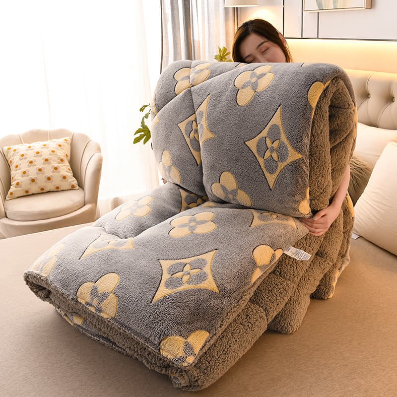 Lamb Fleece Quilt Winter Thickened Warm Milk Fleece Coral Fleece Spring Autumn Quilt Student Dormitory Single Cotton Quilt Core