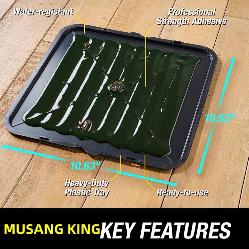 Saudi Super Strong Glue Mouse Trap Board, Extra Large and Thick Plastic Sticky Board for Home Use to Catch and Kill Large Mice