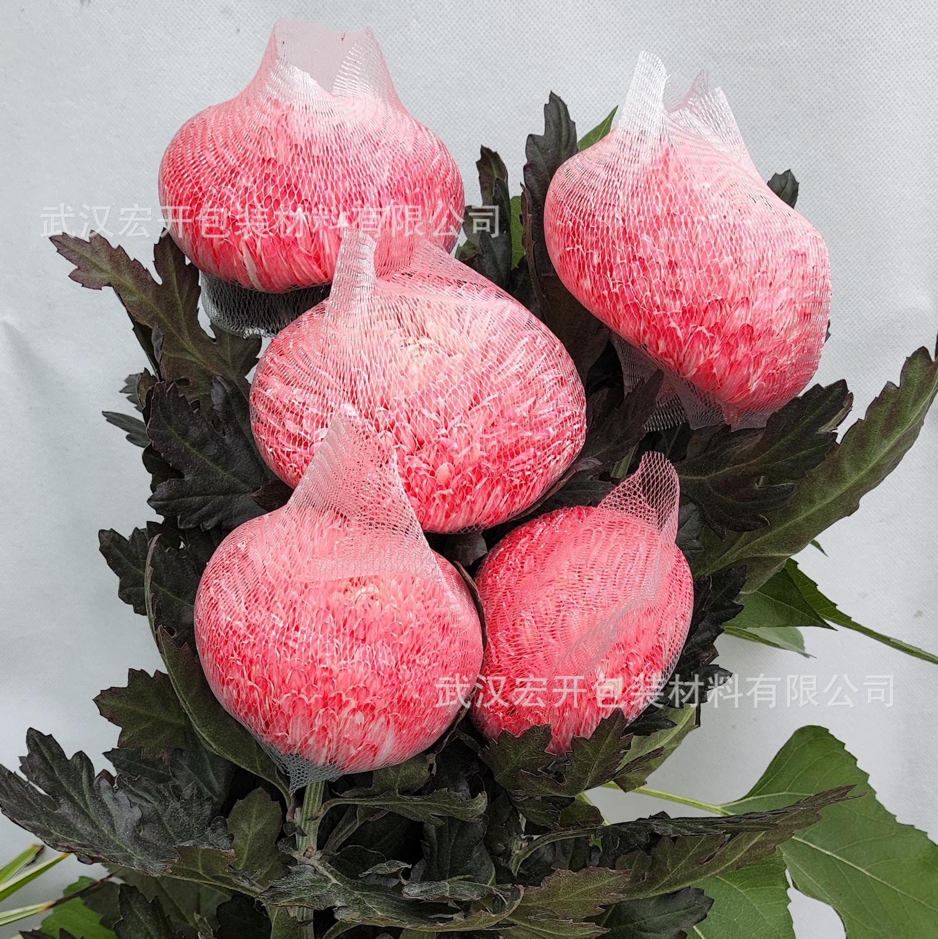 Peony, chrysanthemum, ping-pong chrysanthemum, lily flower protective shaping netting, flower wrapping netting, delayed flowering, Wuhan Hongkai factory direct sales.