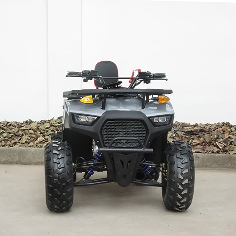 Adult ATV Beach Buggy 125cc Gasoline Automatic Clutch Motorcycle Four-Wheel Off-Road Utility Vehicle