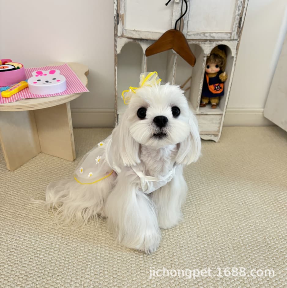 New Cross-Border Amazon Hot Selling Dog Clothes Strawberry Daisy Mesh Skirt Princess Style Pet Dress