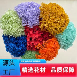 Single Stem Anna Hydrangea Gift, Preserved Hydrangea Dried Flower, Home Decor Flower Arrangement, Multicolor Wholesale