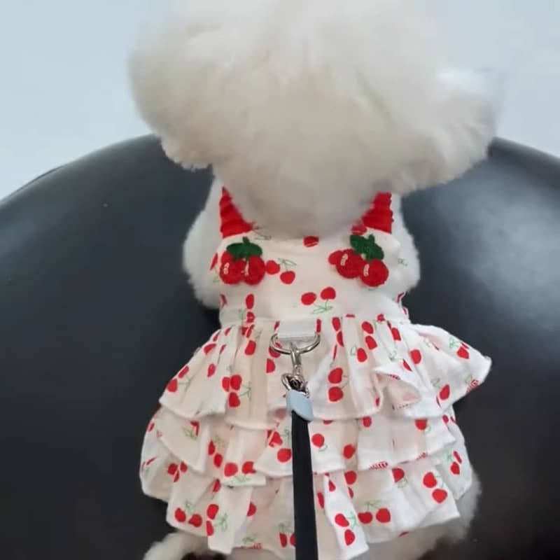 Pet Dress Supplies Clothing Spring and Summer Dog Cat Teddy Ragdoll Cat Love Cotton Dress
