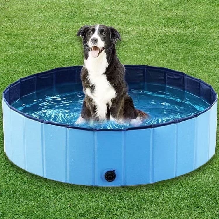 Foldable Pet Pool Bathtub for Large Dogs, Cat Bath Tub, Kids Outdoor Pool