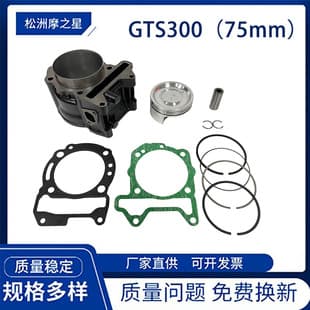 Motorcycle Parts Engine Cylinder for PIAGGIO VESPA 300 GTS300 GTV300 Piston