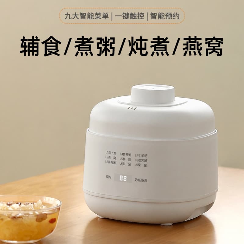 Jiuyi Electric Stew Pot with Water Bath, Small Ceramic Cooker for Baby Food, Soups, and Bird's Nest