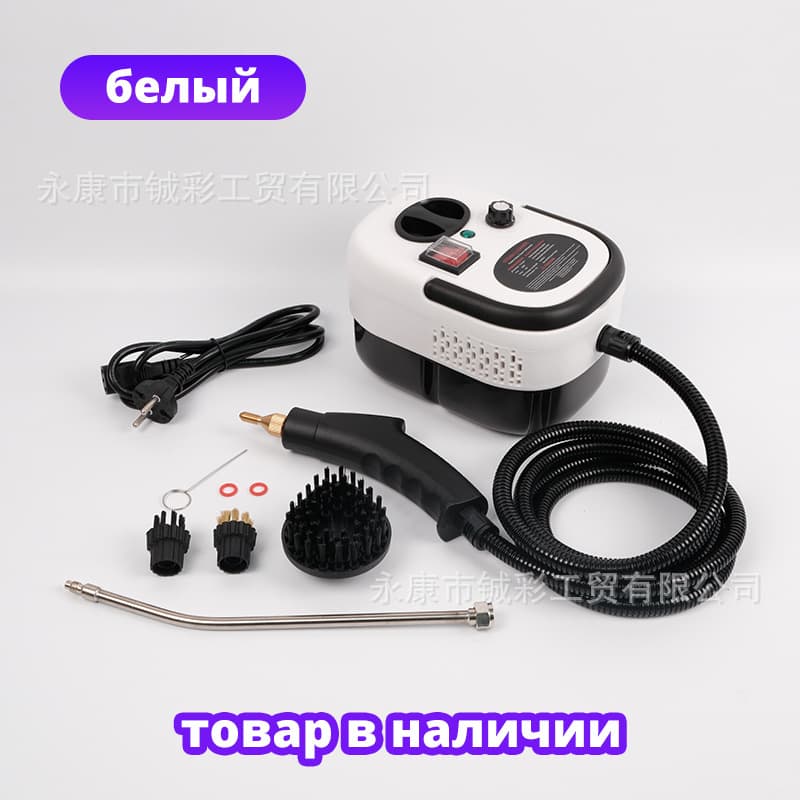 220V Russia Hot Selling 2500W High Temperature High Pressure Steam Cleaner for Air Conditioner Kitchen Home Use Cleaning Machine Wholesale