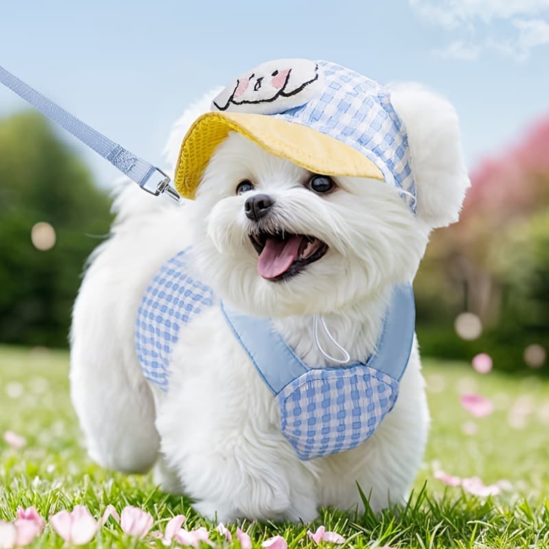 2026 New Cross-border Drop Shipping Dog Harness Vest Set (with Hat) (Outdoor Use)