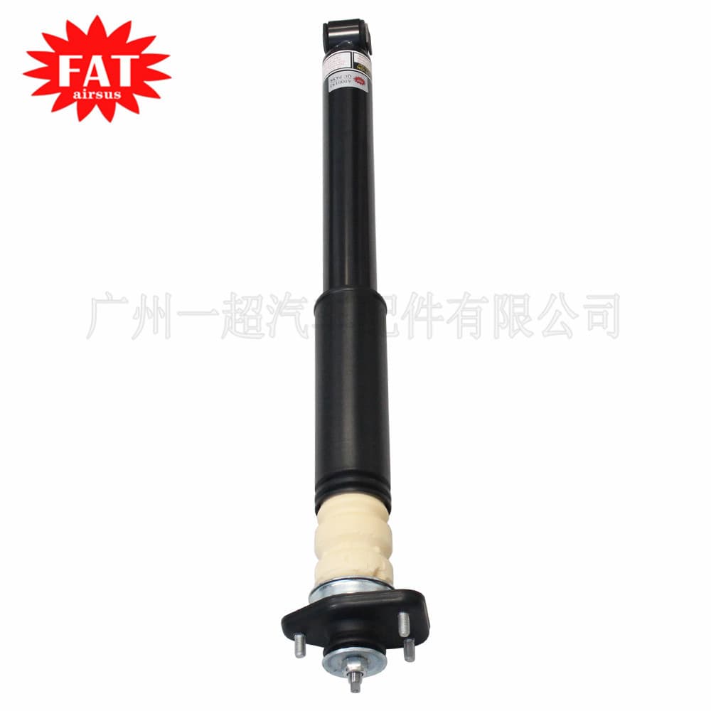 For BMW X3 E83 2004-2010 Rear Left and Right Shock Absorber Assembly Standard Non-Electric