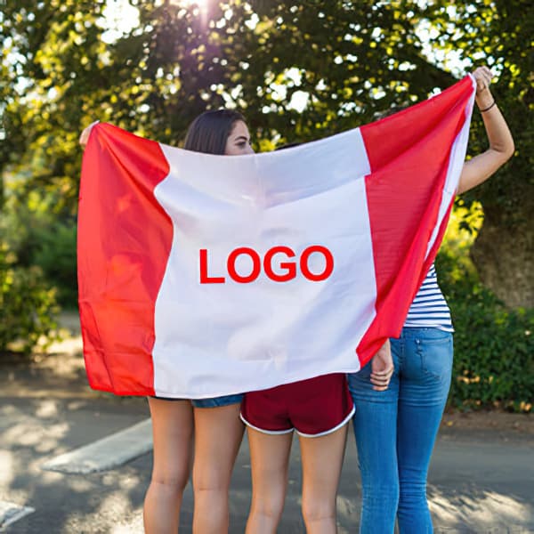 Factory wholesale outdoor flag customization, foreign trade advertising flag, guide flag customization, school flag class flag custom hand-waving flag