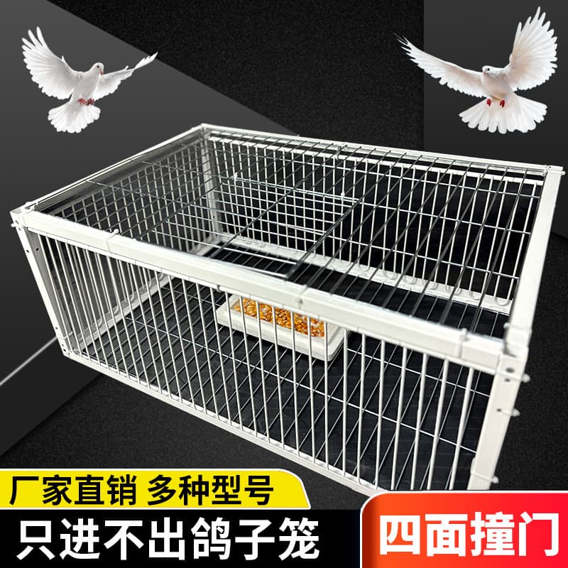 Outdoor Home-Use Roof Pigeon Cage with Automatic Door for Racing Pigeons