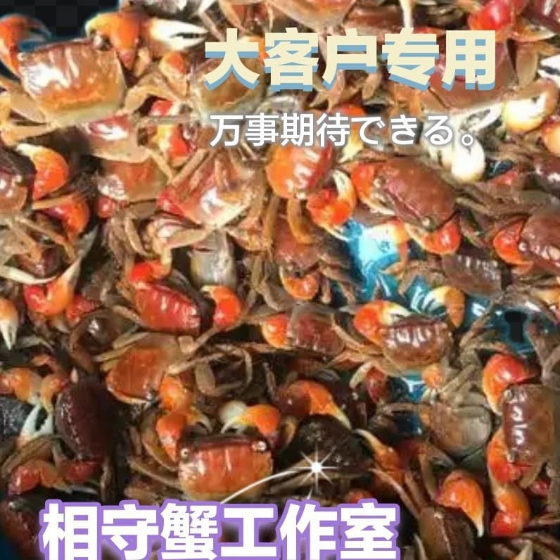 Red Crab, Companion Crab, Partner Crab, Aquarium Crab, Live Crab Feed, Street Stall Crab, Individually Packaged Wholesale Aquarium Supplies