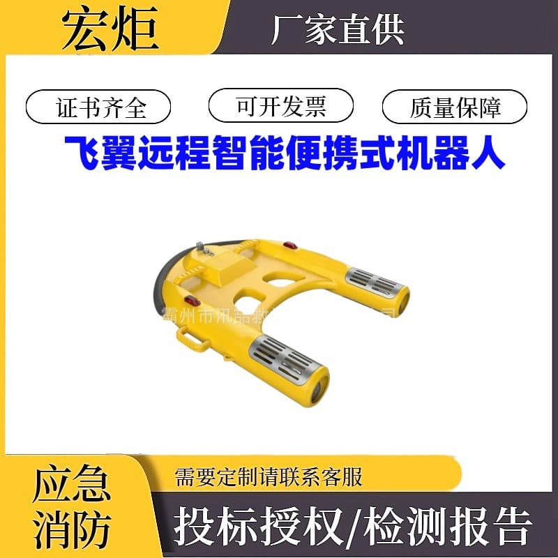 Electric Remote Control Lifeboat Water Operation Rescue Flying Wing Remote Intelligent Portable Robot