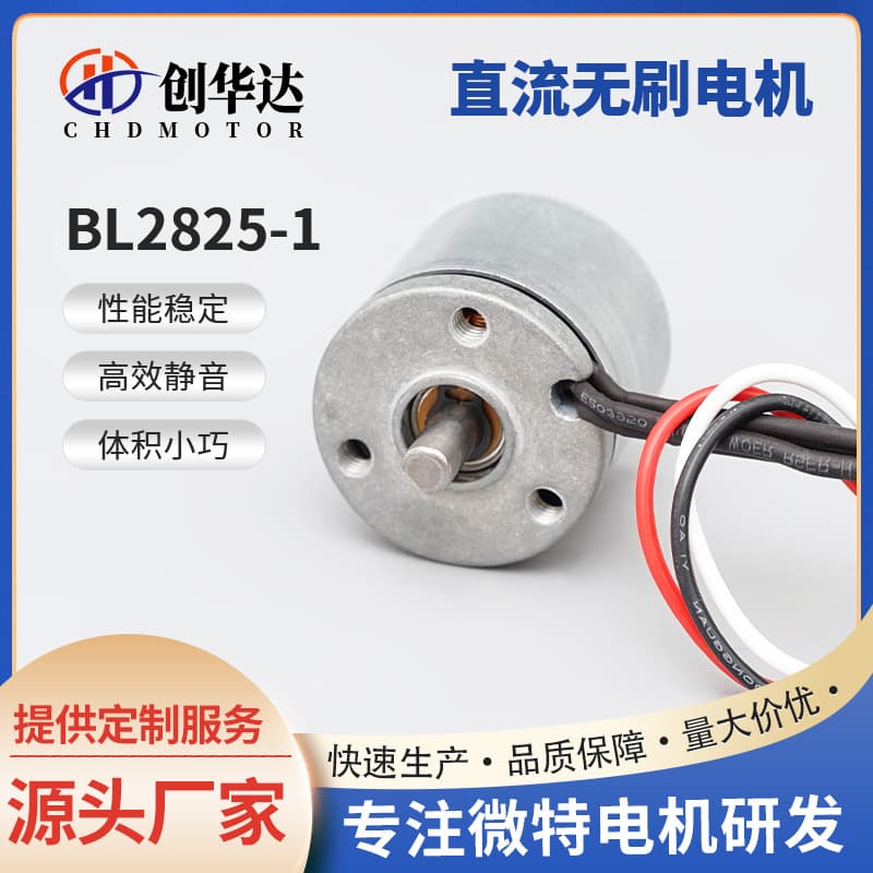 Dongguan manufacturer BL2825-1 geared micro motor 12V coffee machine water pump brushless DC motor