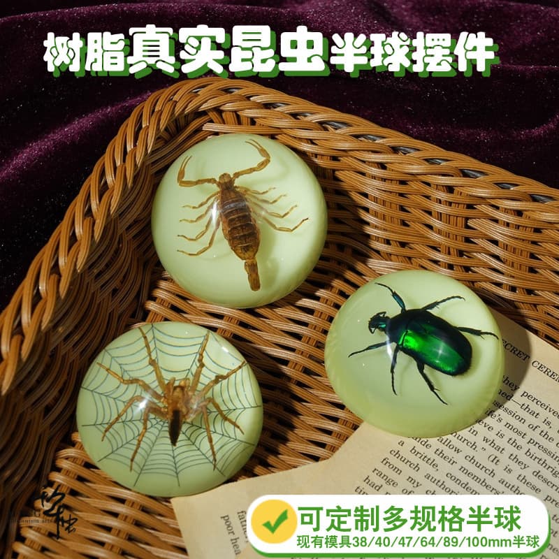 Handmade Insect Specimen Resin Geometric Beetle Scorpion Desktop Ornaments Modern Simplicity Style Solid Resin Crystal Gifts