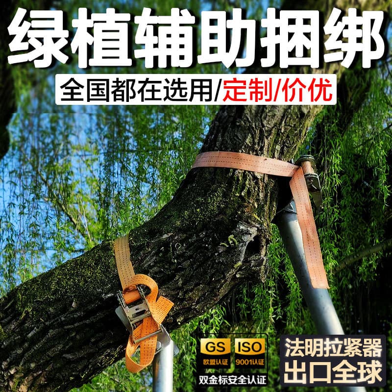 3.8CM wide genuine polyester ratchet tie-down with thickened webbing, customizable for log and tree planting fixation, durable