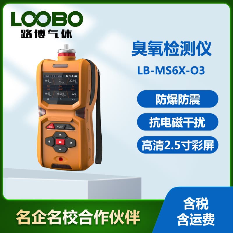 Portable Ozone Detection Alarm Instrument Ozone Concentration Online Monitoring and Control Device