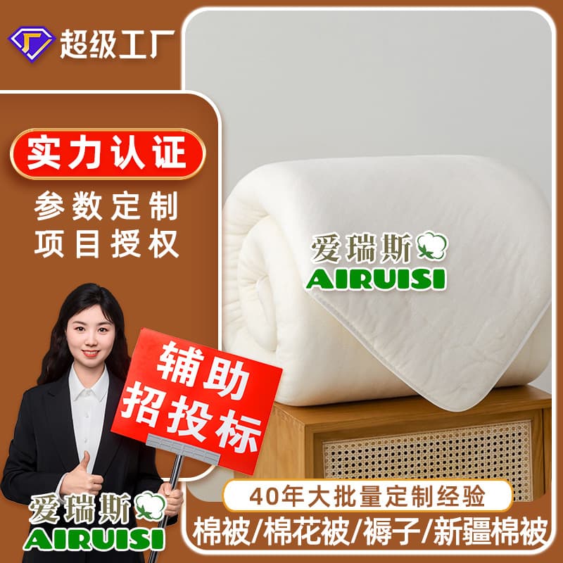 2025 New Style Edged Xinjiang Cotton Quilt 2-10 Jin with Net Cotton Wadding Quilt Core, Single/Double Household High-Quality Batting