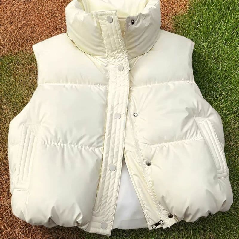2025 New Year Korean Style Women's Vest, Winter Short Loose Fashion Outerwear, Wasteland Style Jacket