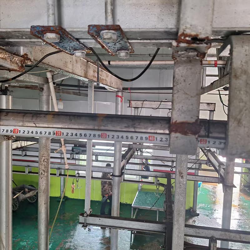 Electronic scales for pig carcasses, cattle (tube-rail) and sheep (dual-rail)
