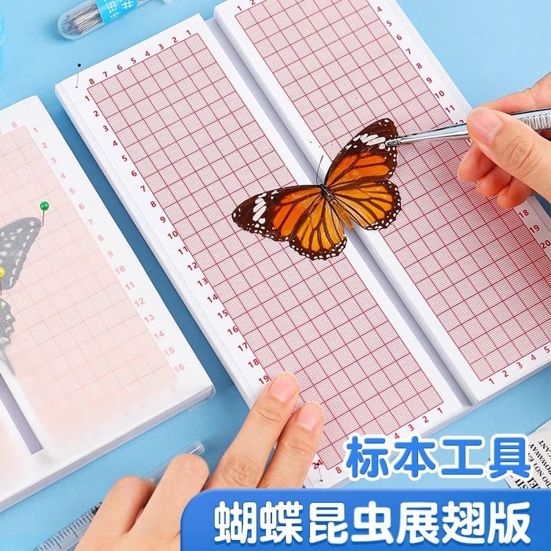 Butterfly Spreading Board Specimen Tool DIY Set Handmade Material Insect Pins Specimen Box Full Kit